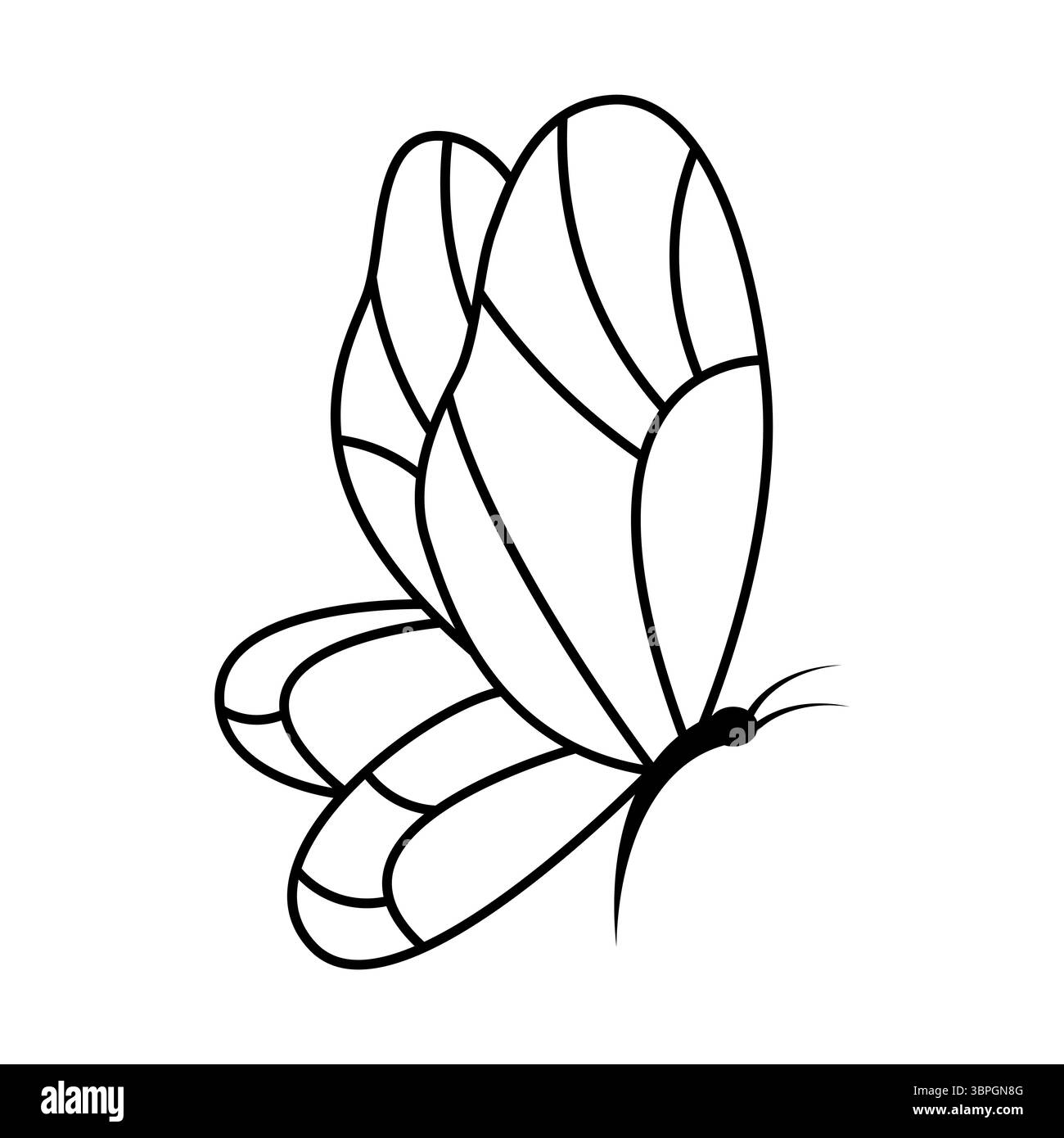 Illustration de contour de papillon. Deux grandes ailes supérieures et deux ailes inférieures, chacune ornée de sections lisses et courbes ressemblant à des motifs naturels. Illustration de Vecteur