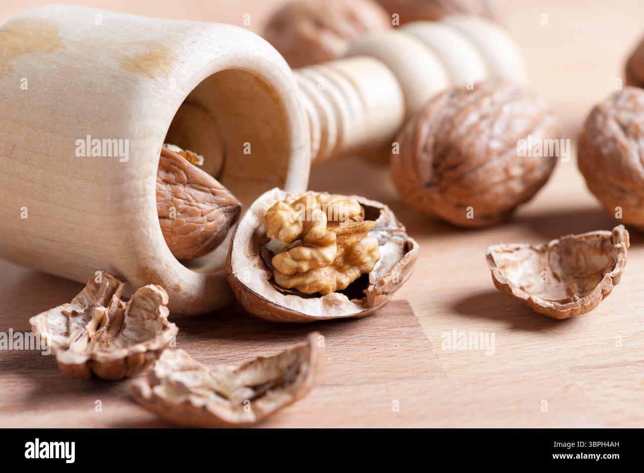 noix toujours la vie avec une coquille cassée au premier plan Banque D'Images