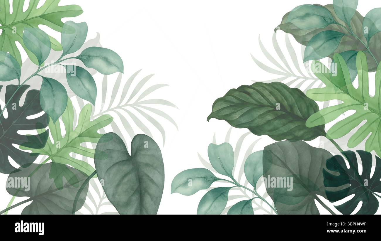 Cadre aquarelle luxuriante de verdure tropicale – Monstera et fond botanique de feuille de palmier Banque D'Images
