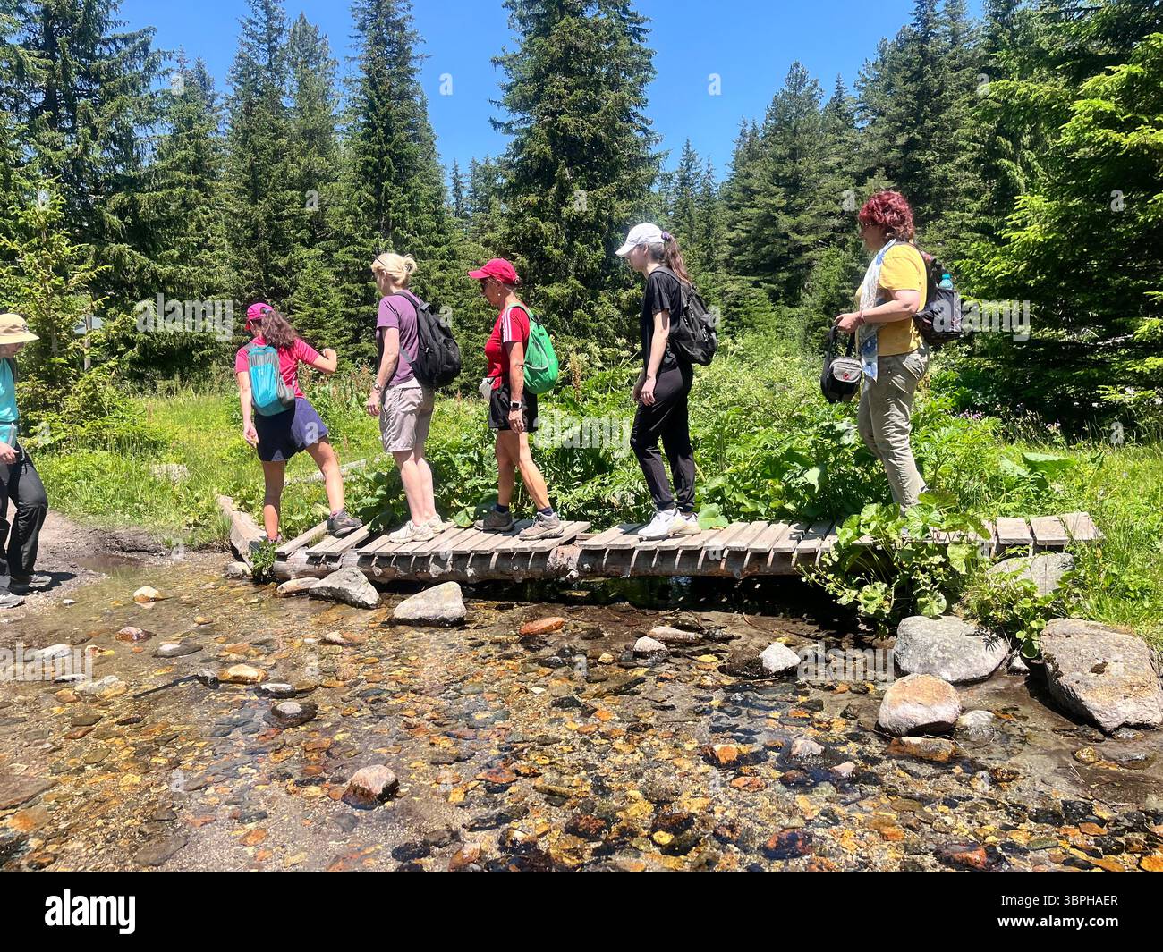 Randonnée en Bulgarie, randonneurs traversant le ruisseau sur un pont en bois dans la réserve naturelle de Rila Mountain et le parc national, Bulgarie, Balkans, Europe du Sud-est Banque D'Images