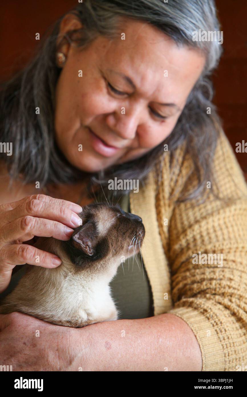 gros plan portrait d'une femme âgée latino tenant un chat souriant à l'intérieur Banque D'Images