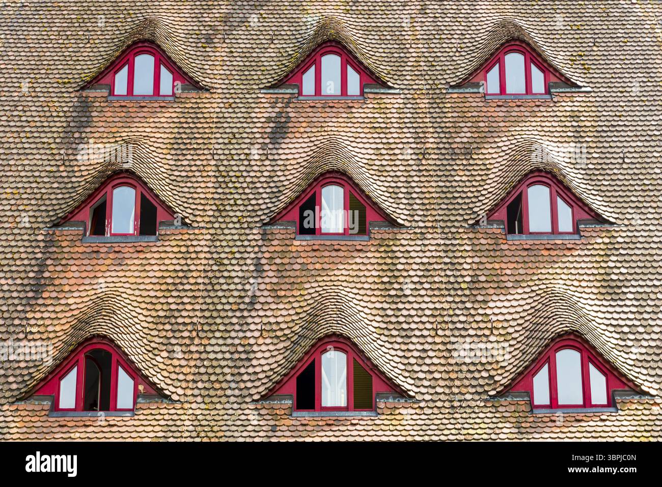 Lucarnes disposées symétriquement dans un toit en tuiles recouvert de tuiles dites plates, Rothenburg ob der Tauber, Allemagne, Europe Banque D'Images