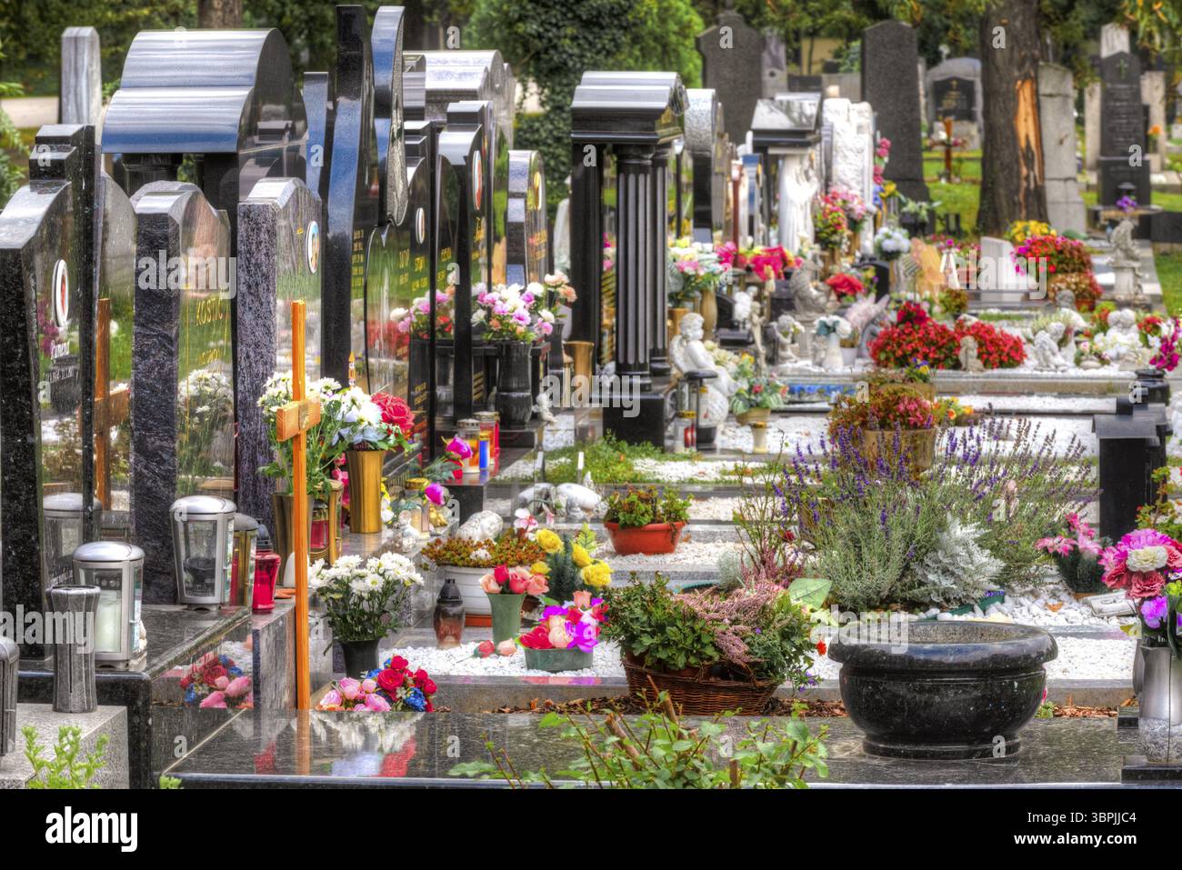 Pierres tombales colorées avec de nombreuses fleurs et des noms non identifiables en vue oblique avec une perspective de point de fuite au centre de Vienne ce Banque D'Images