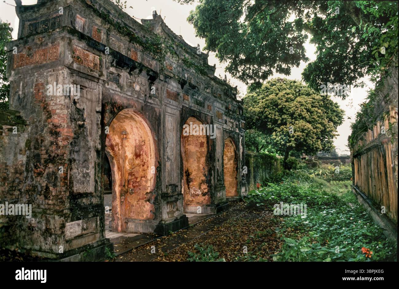Diapositive scannée d'une photographie historique en couleur d'un motif dans la soi-disant Cité pourpre interdite, l'ancien palais impérial de Hue, cent Banque D'Images