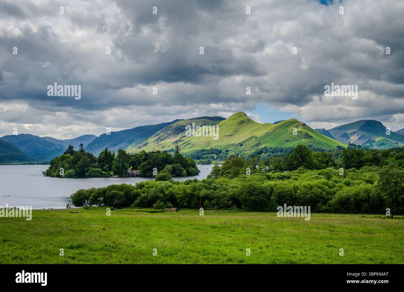 Une vue sur la verdure près de Derwentwater depuis Keswick encadre les environs tranquilles par temps nuageux, avec des collines lointaines, y compris les Catbells à travers le Banque D'Images
