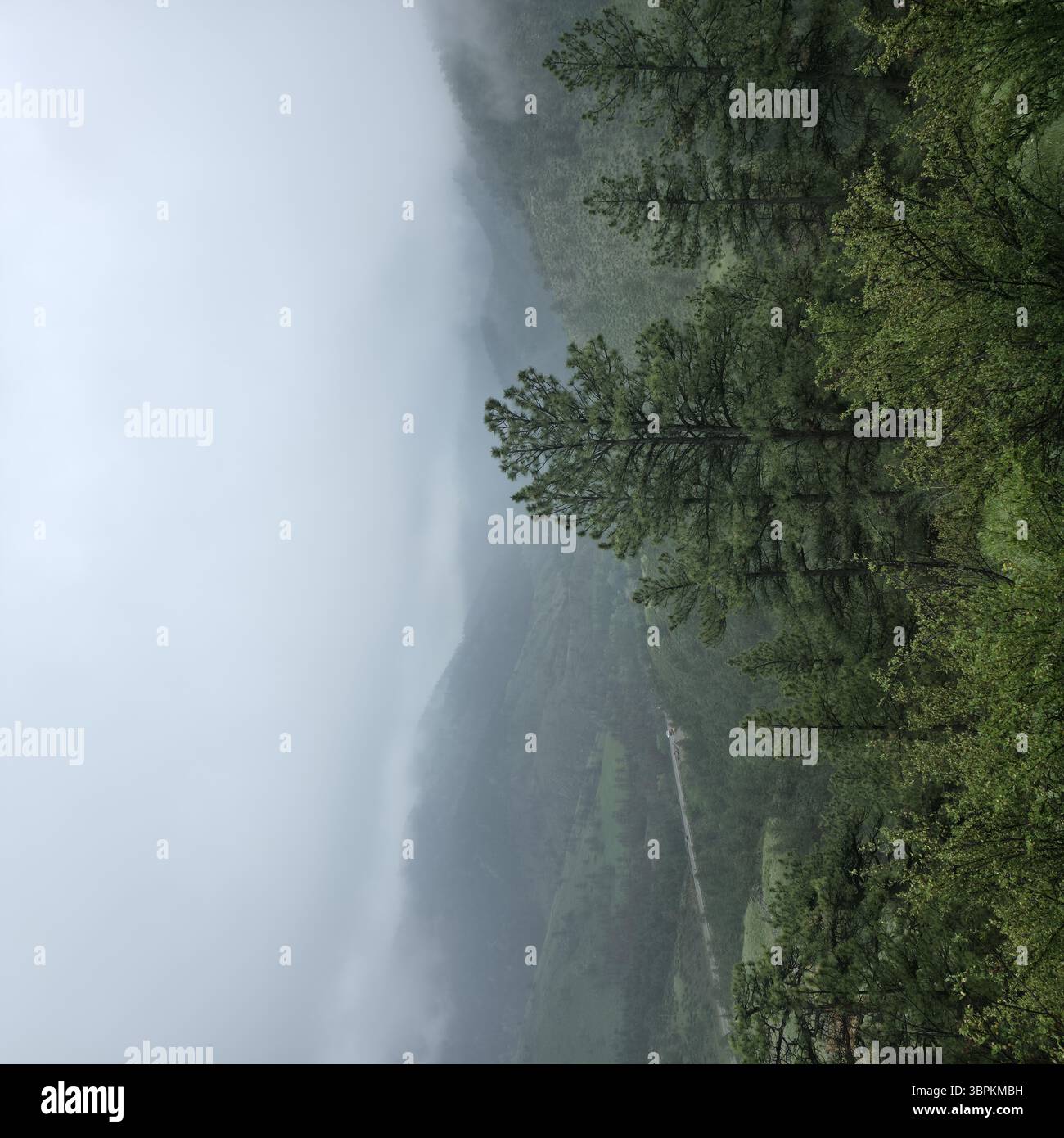 Vue sur les montagnes brumeuses entourées de brume, avec des arbres verdoyants accrochés aux pentes, créant une atmosphère sereine mais mystérieuse, Loveland, Colorado Banque D'Images