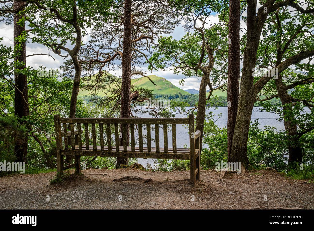 Un banc en bois niché parmi les arbres à un point de vue de Friars Crag offre un aperçu paisible de Catbells à travers le lac, entouré d'une végétation luxuriante dans un Banque D'Images