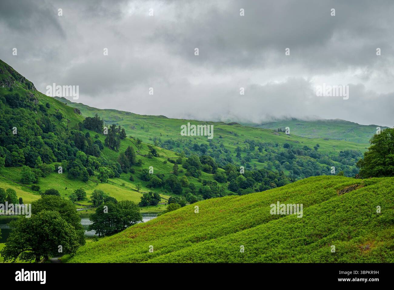 Les nuages de faible pluie dérivent au-dessus d'une gamme de puits à Rydal Water, projetant une douce brume à travers le paysage vert rafraîchissant 2 Banque D'Images