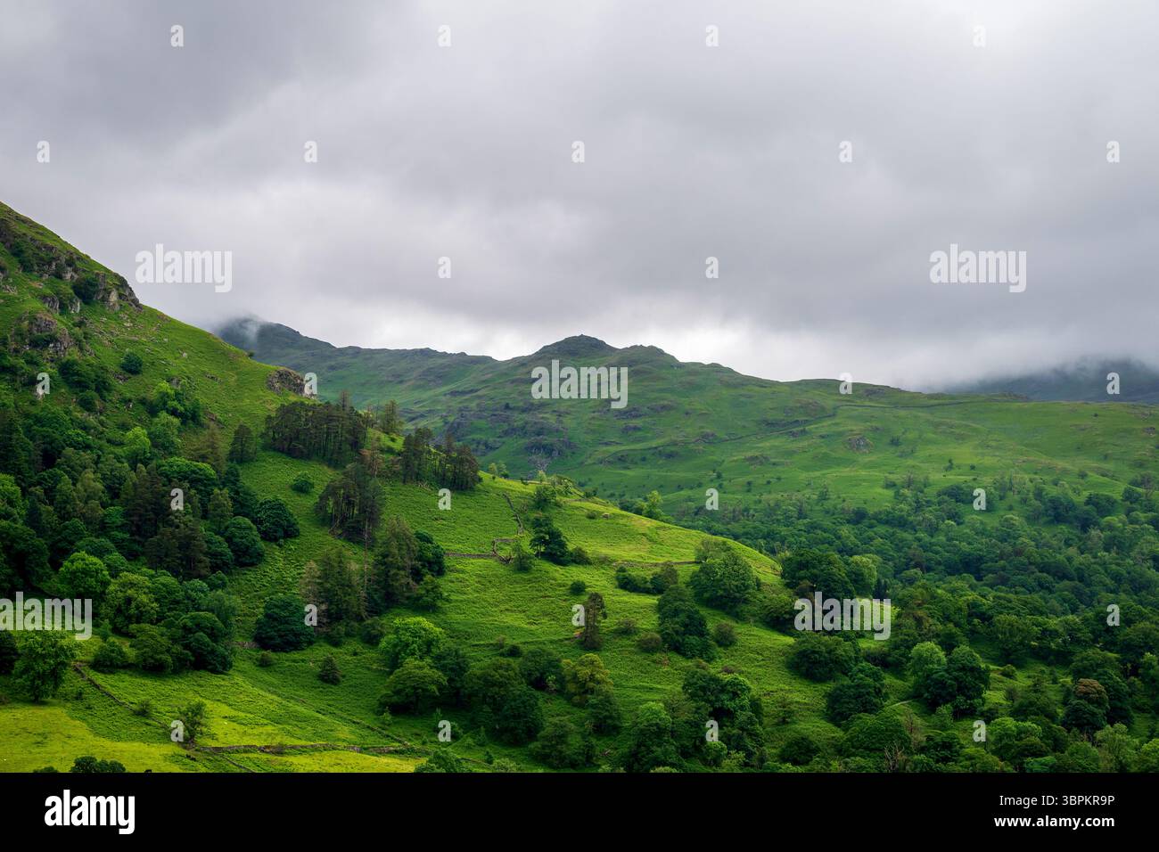 Les nuages de faible pluie dérivent au-dessus d'une gamme de puits à Rydal Water, projetant une douce brume à travers le paysage vert rafraîchissant 1 Banque D'Images