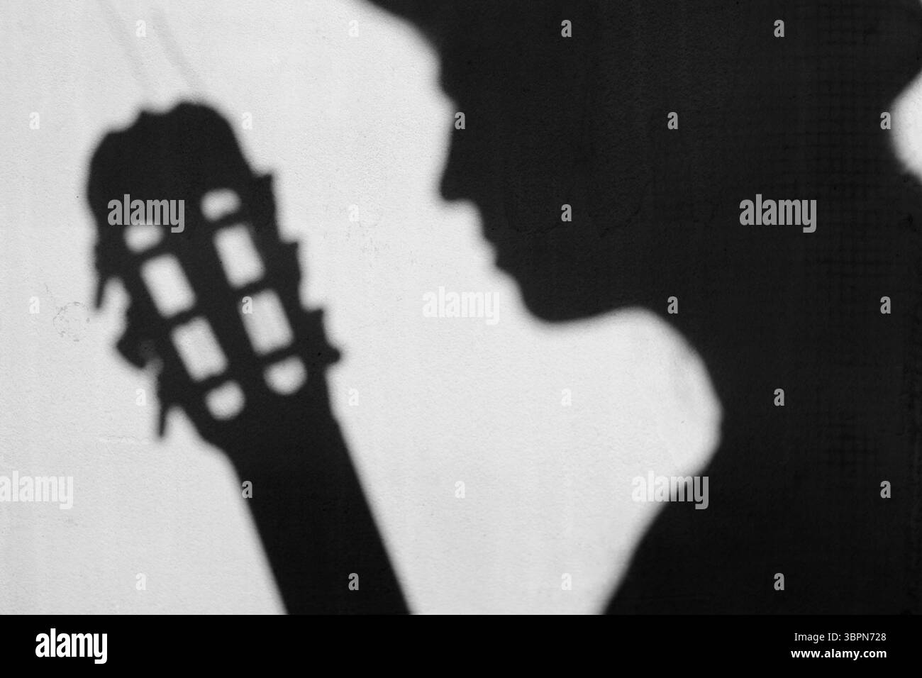 Une silhouette frappante d'un musicien, d'un homme ou d'une femme, jouant habilement d'une guitare acoustique, créant un visuel puissant d'un guitariste faisant de la musique. fest Banque D'Images