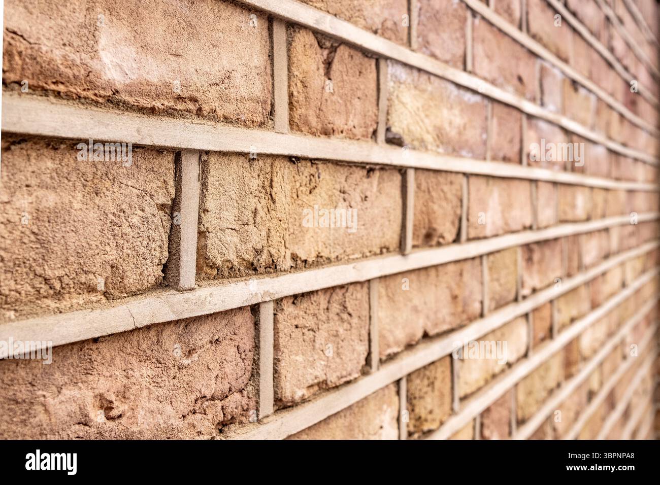 Mur de briques solides nouvellement construit avec mortier propre soigné Banque D'Images