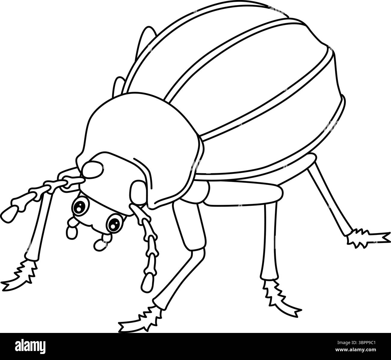 Insecte Toktokkies animal isolé Coloring page Illustration de Vecteur