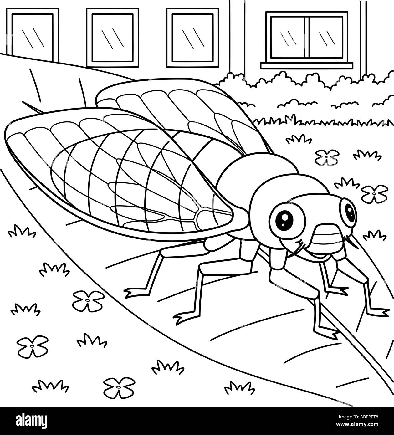 Insecte Cicada page de coloration d'animaux pour les enfants Illustration de Vecteur