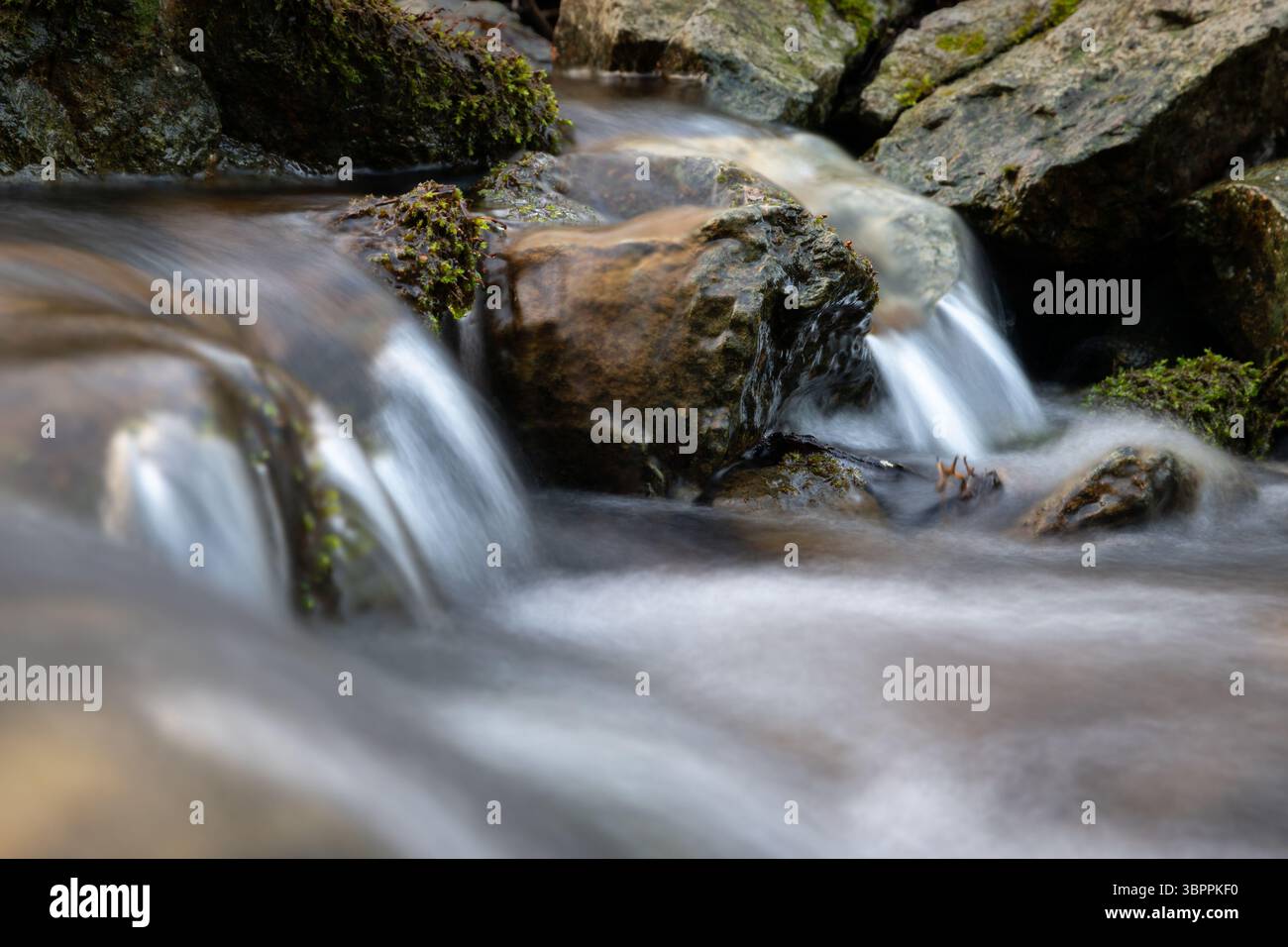Un ruisseau de montagne s'écoule rapidement au-dessus du fond rocheux en faisant des cascades, des murmures d'eau claire sur des pierres et des roches couvertes de mousse Banque D'Images
