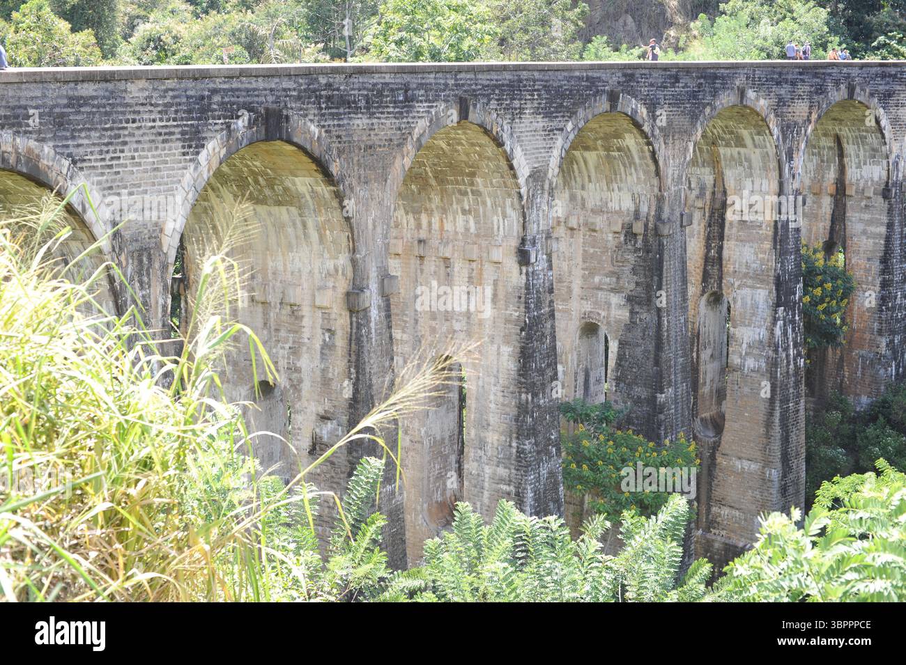 Le pont de Nine Arch a également appelé le pont dans le ciel sur une voie ferrée menant à Ella au Sri Lanka. C'est un pont viaduc. Banque D'Images