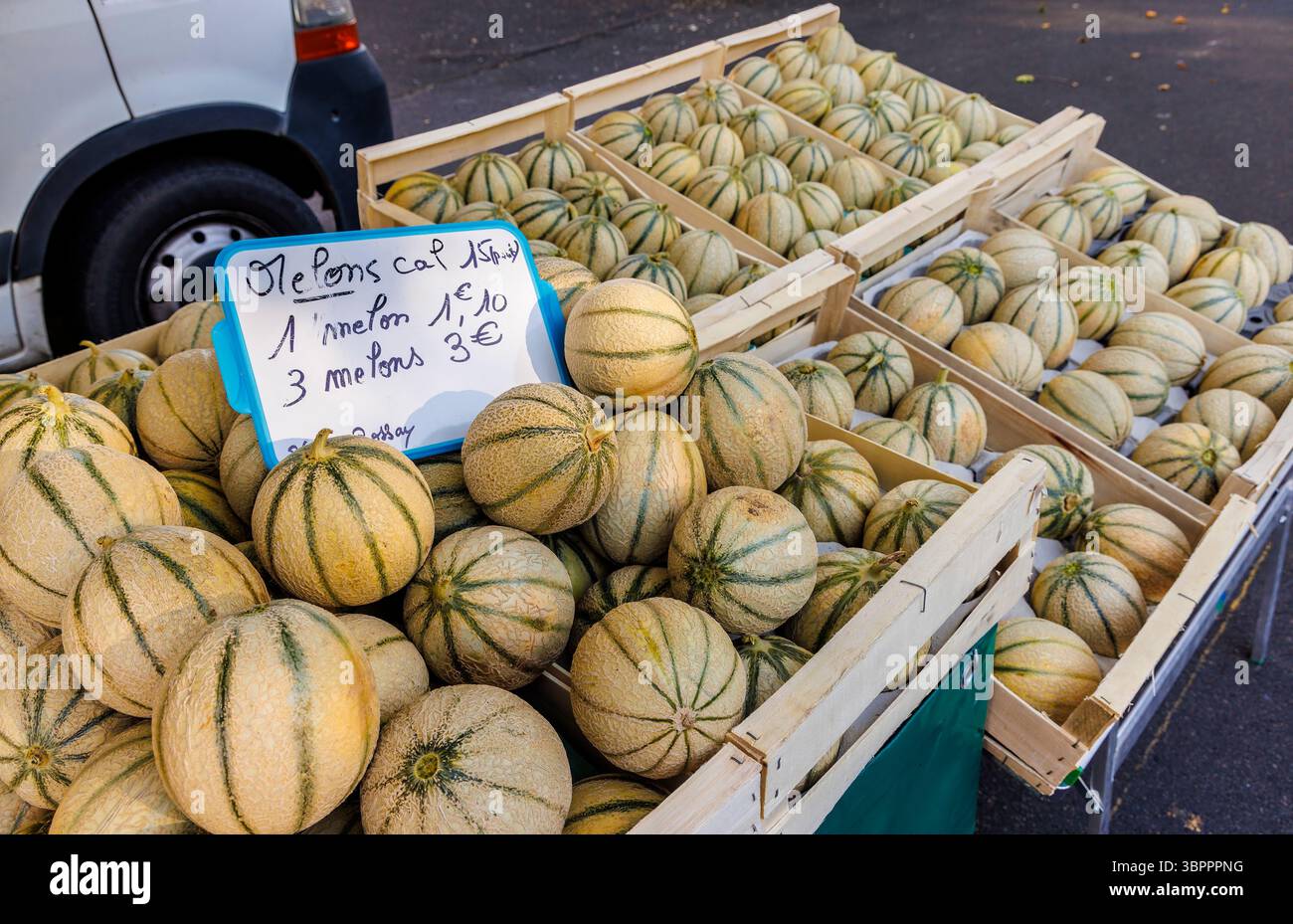 Melons en vente au marché local, Doue, France Banque D'Images
