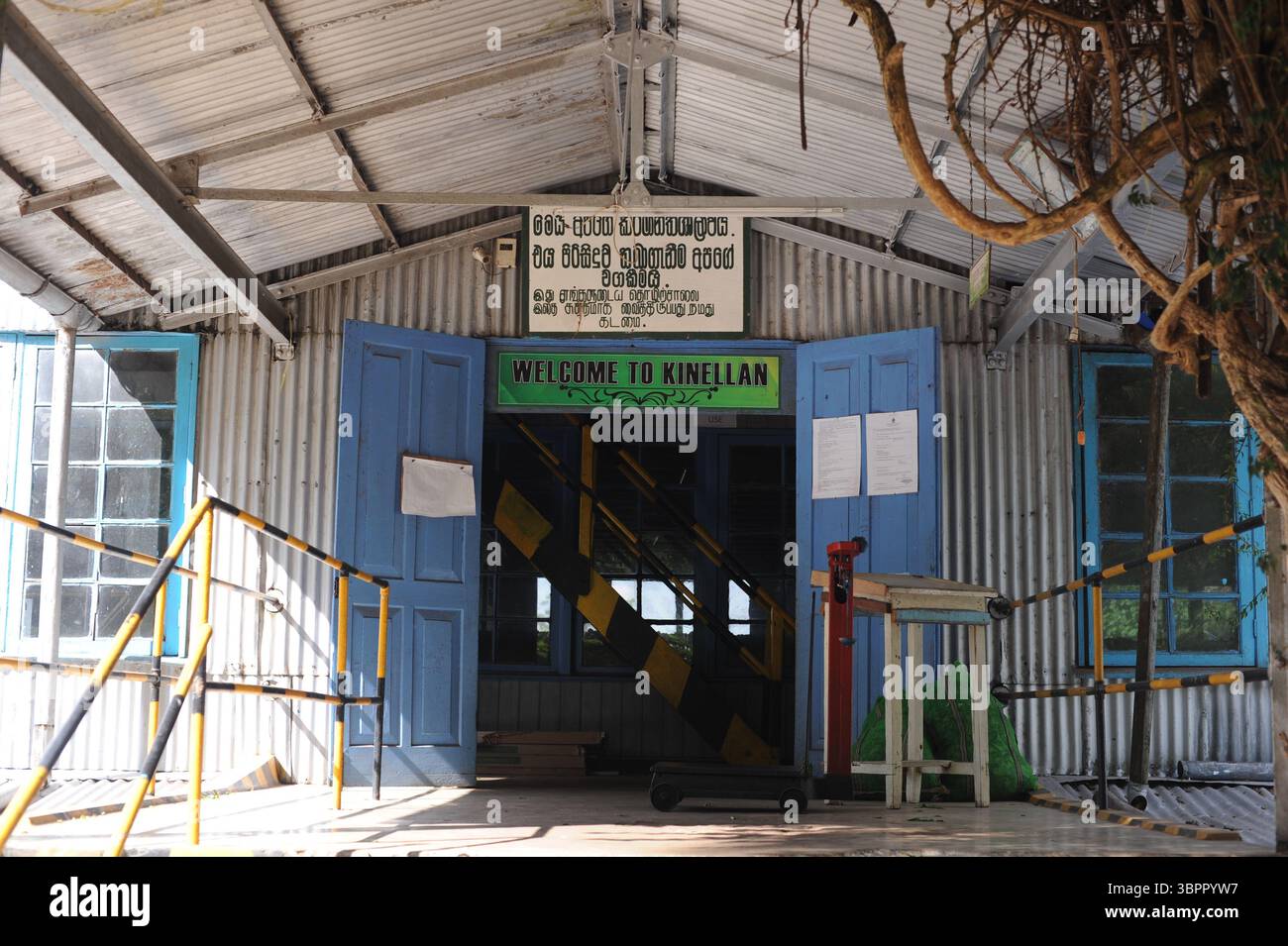 Kinellan Tea Factory produisant du thé Ceylan avec plantation de thé sur un domaine de thé à Ella, Sri Lanka, Ceylan, Asie Banque D'Images
