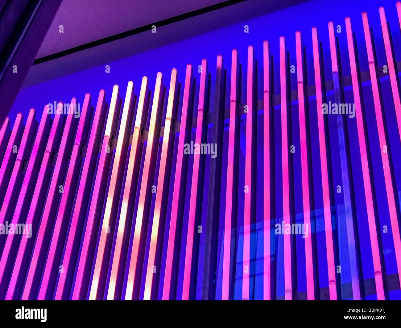 NYC, New York - 14 février 2019 : gros plan des lumières LED dans un cadre urbain à New York Banque D'Images