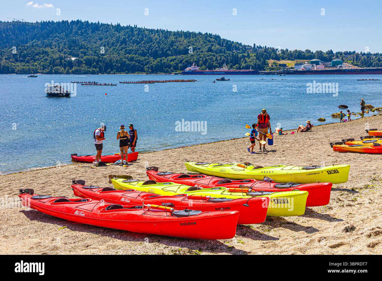 Kayaks colorés au parc Cates à North Vancouver Canada Banque D'Images