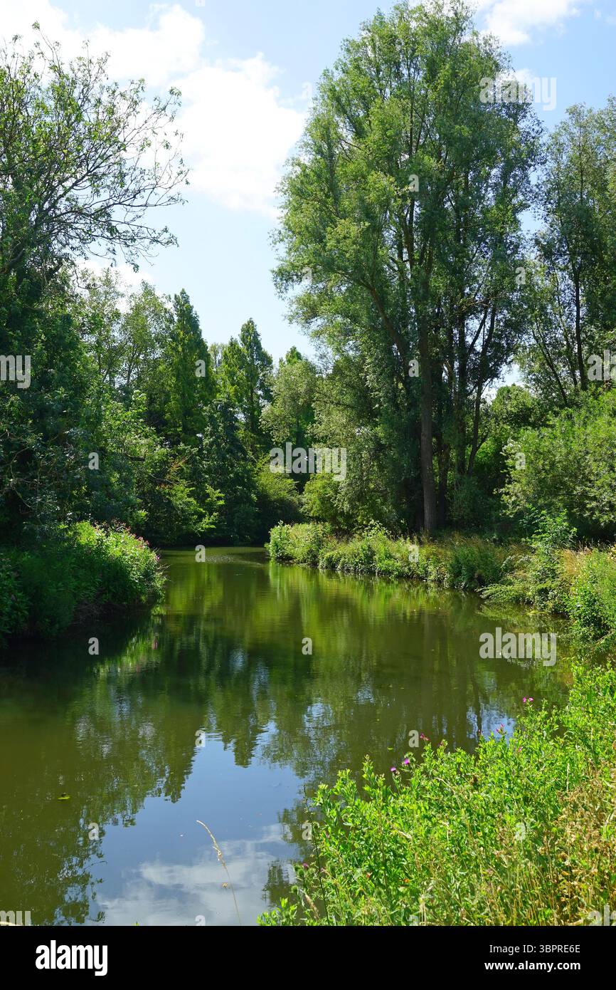 La rivière Stort entre Sawbridgeworth et Harlow Banque D'Images
