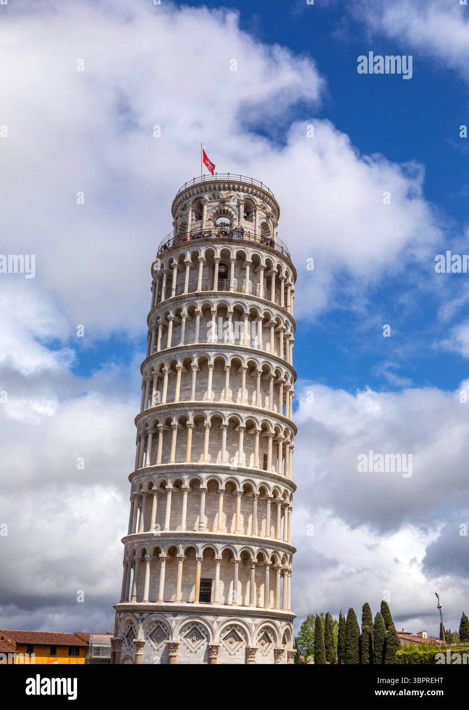 Vue sur la magnifique tour penchée de Pise dans la ville de Pise, Italie. Banque D'Images