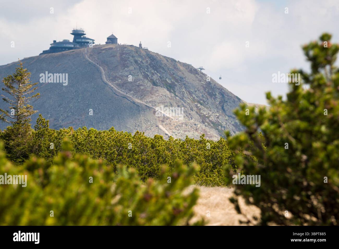 Vue sur le pic de Sniezka avec des pins de montagne nains au premier plan, parc national de Karkonosze, Pologne. Banque D'Images Vue sur le pic de Sniezka avec des pins de montagne nains au premier plan, parc national de Karkonosze, Pologne. Banque D'Images