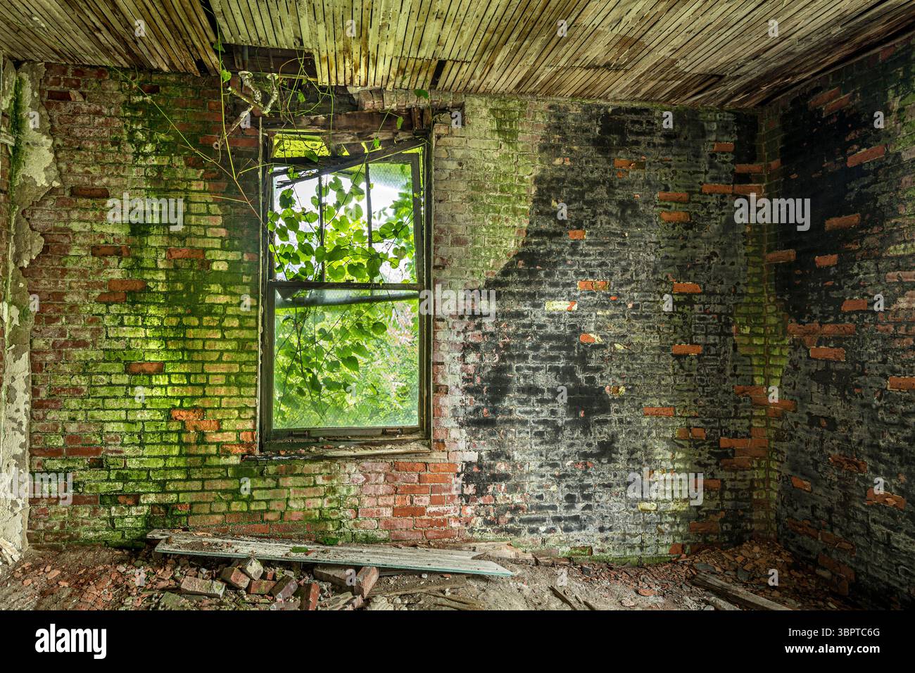 Mur de briques exposées dans la maison abandonnée en décomposition, Indiana, États-Unis Banque D'Images