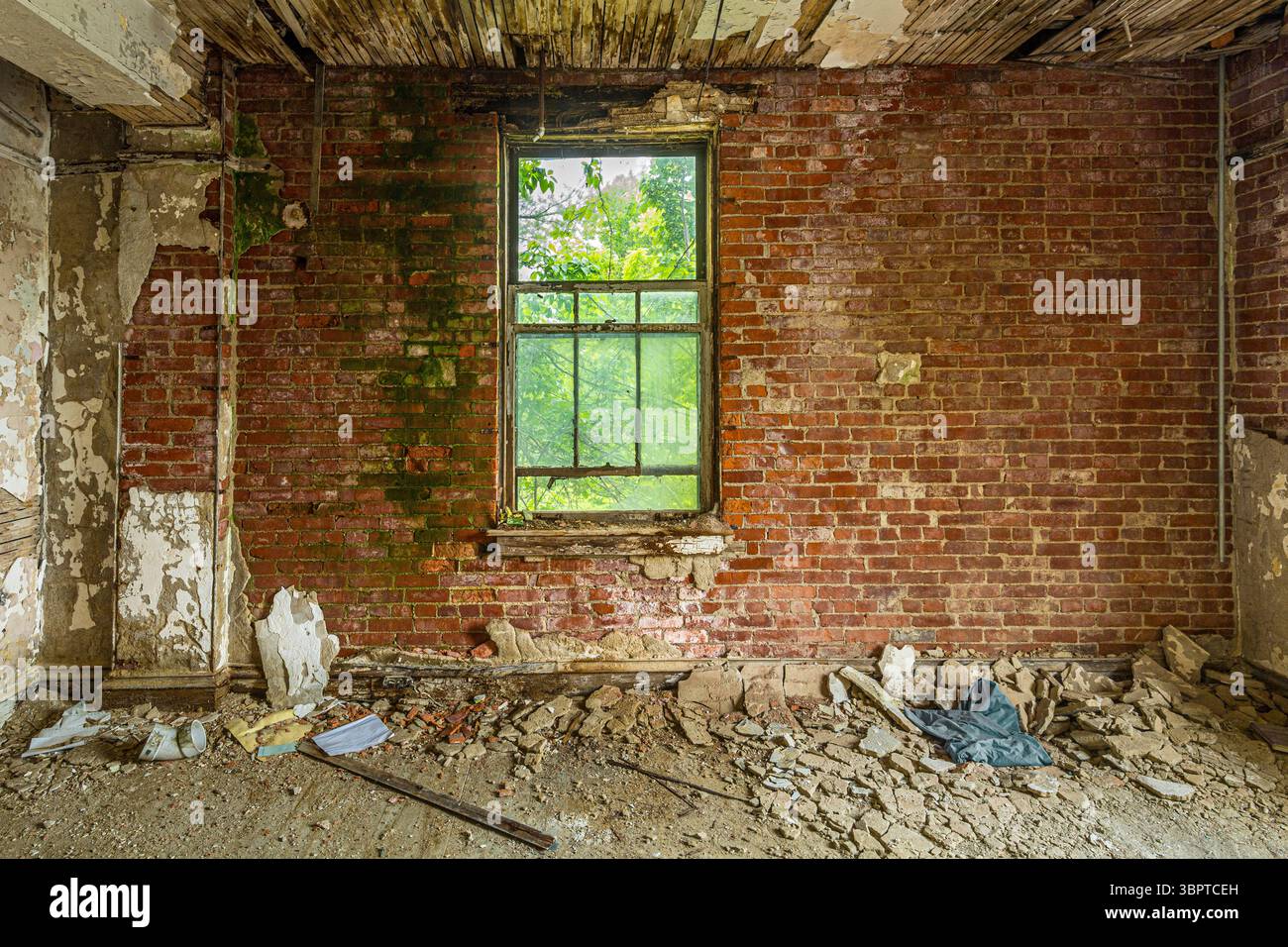 Mur de briques exposées dans la maison abandonnée en décomposition, Indiana, États-Unis Banque D'Images