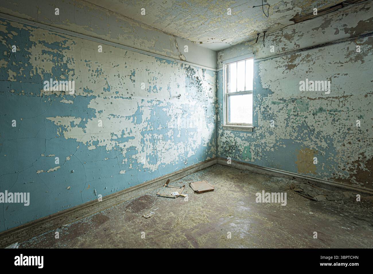 Peeling peinture à l'intérieur de la pièce de la maison abandonnée en décomposition, Indiana USA Banque D'Images