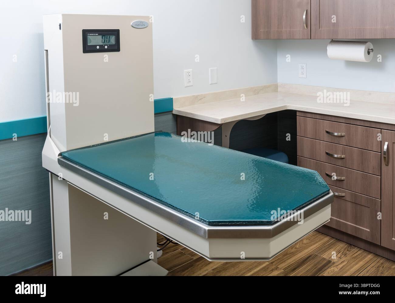 Table d'examen vide à l'intérieur de la clinique vétérinaire, Pennsylvanie, États-Unis Banque D'Images