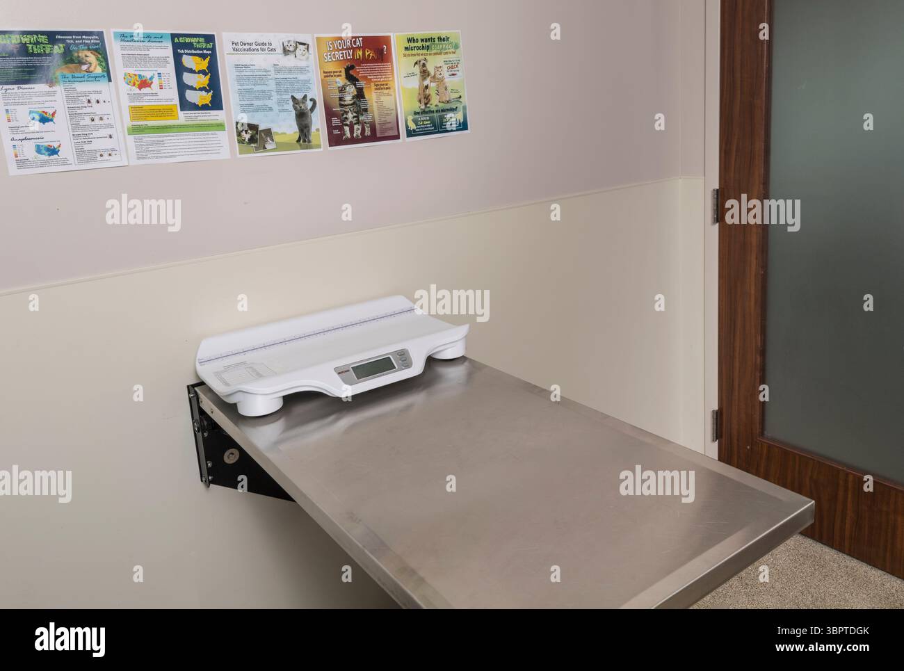 Table d'examen vide à l'intérieur de la clinique vétérinaire, Pennsylvanie, États-Unis Banque D'Images