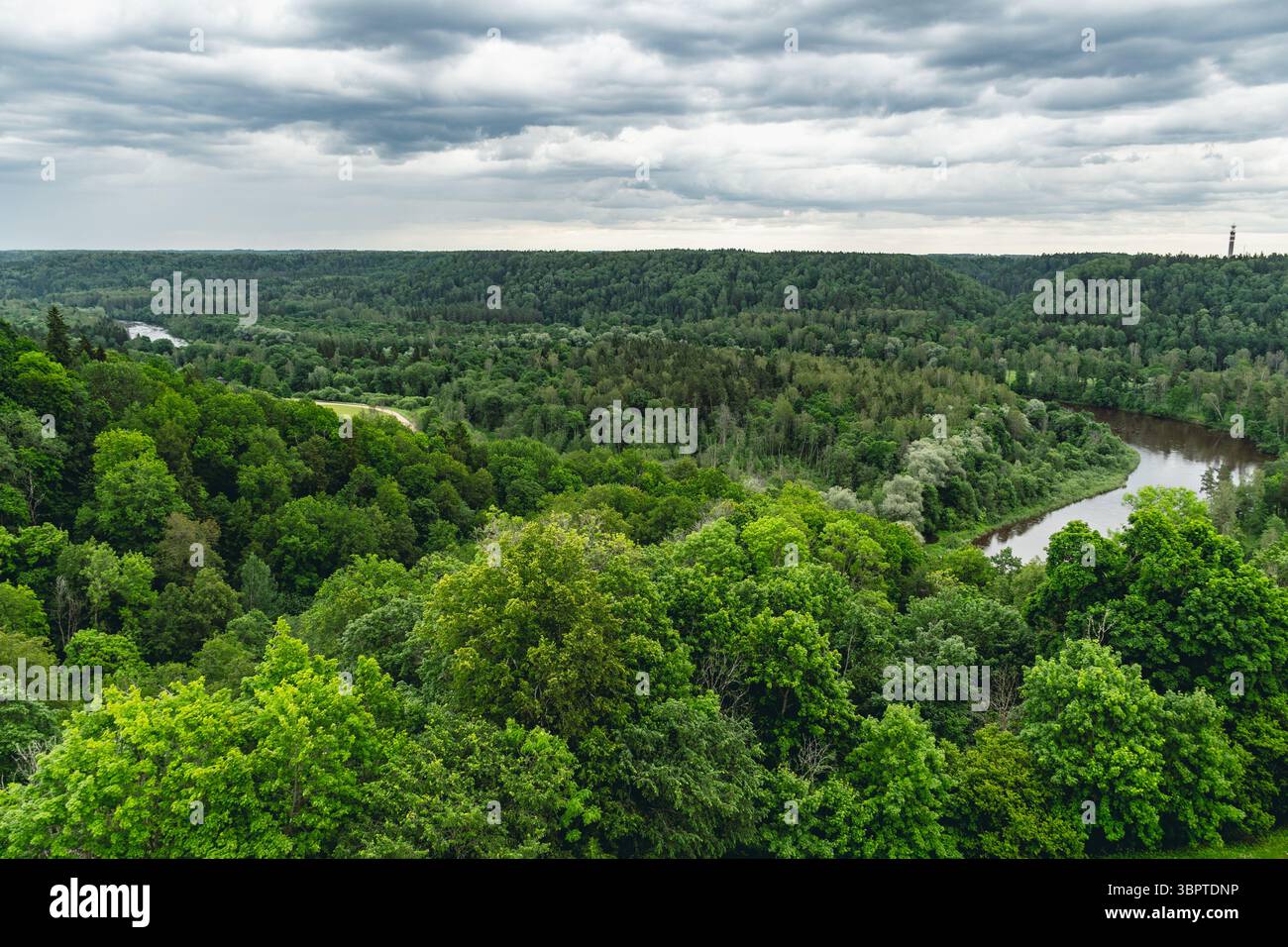 Magnifique vue aérienne sur le parc national de Gauja et la rivière Gauja à Sigulda, Lettonie Banque D'Images