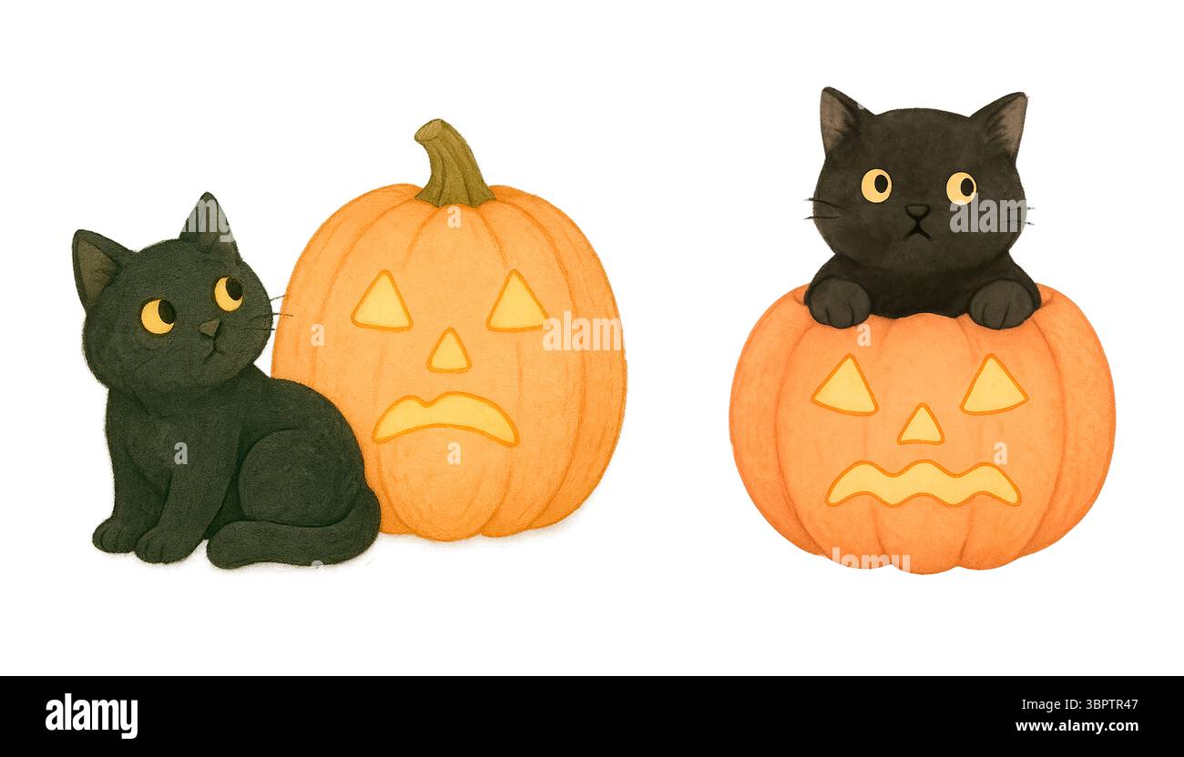 Citrouilles tristes et chats noirs – expressions de chat et de citrouille d'Halloween Banque D'Images