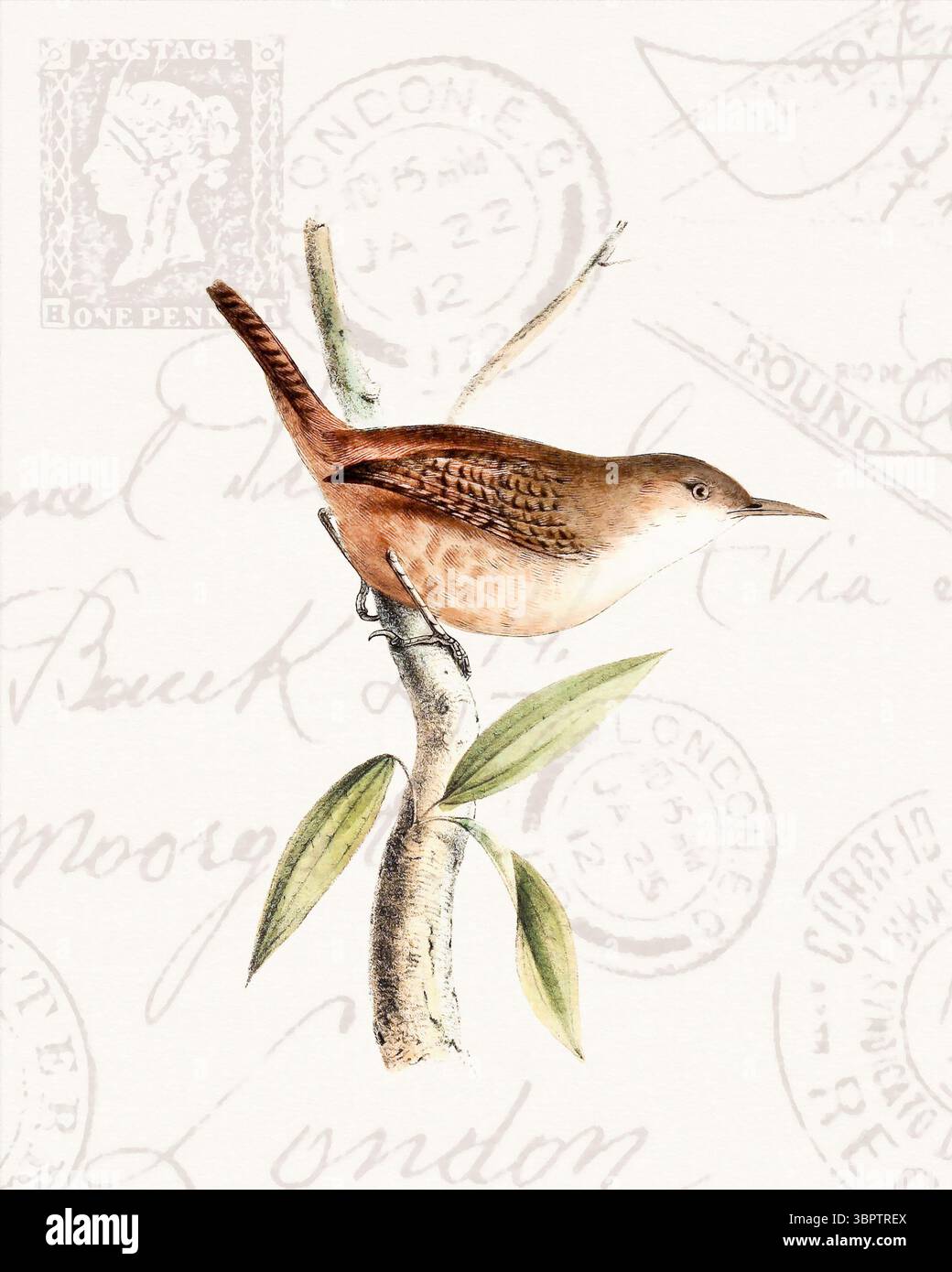 Illustration colorée d'oiseaux tropicaux perchée sur une branche. Style aquarelle doux avec des timbres vintage en arrière-plan. Banque D'Images