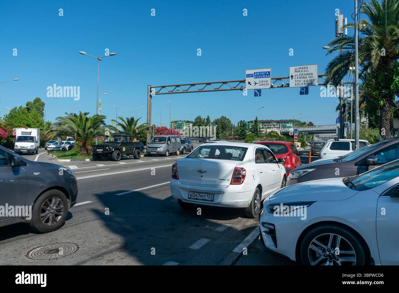 Sotchi, Russie - 05 juillet 2022 : rond-point avec un palmier au centre. Banque D'Images