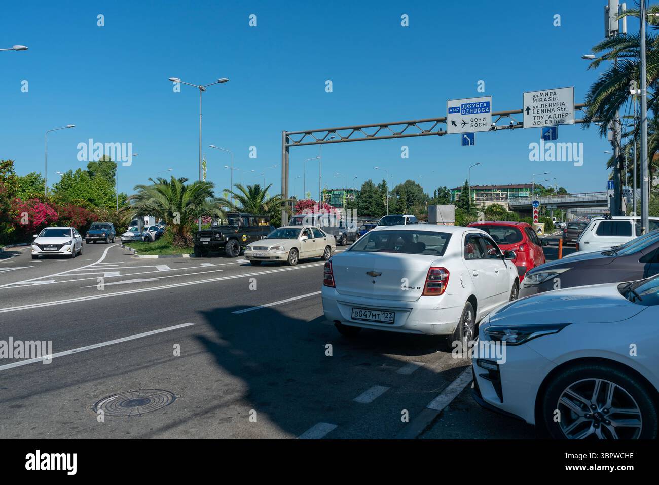 Sotchi, Russie - 05 juillet 2022 : rond-point avec un palmier au centre. Banque D'Images