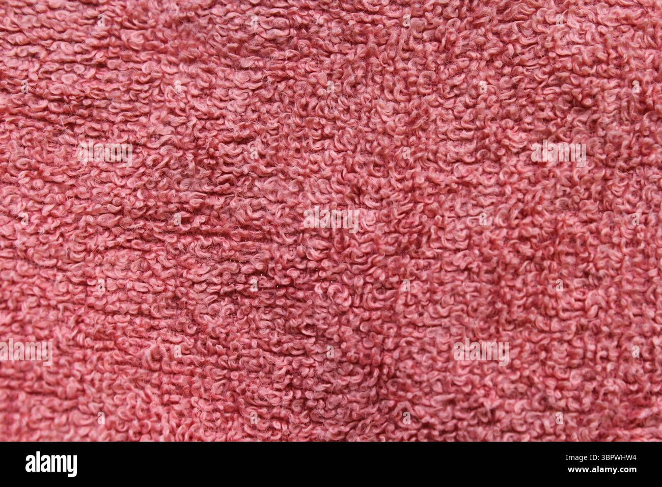 Tissu rose gros plan texturé en tissu Banque D'Images