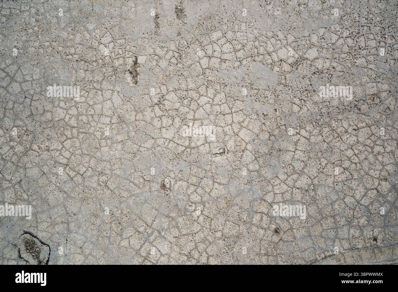 Sol en béton gris ou texture murale avec de petites fissures Banque D'Images