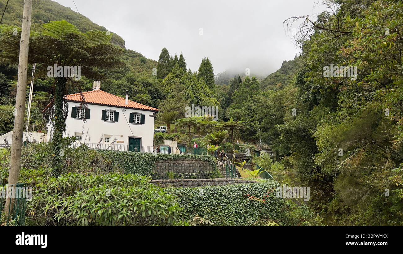 Une charmante maison blanche au milieu d'un feuillage vert vibrant, niché dans une vallée de montagne. - Image de stock capturée avec un smartphone