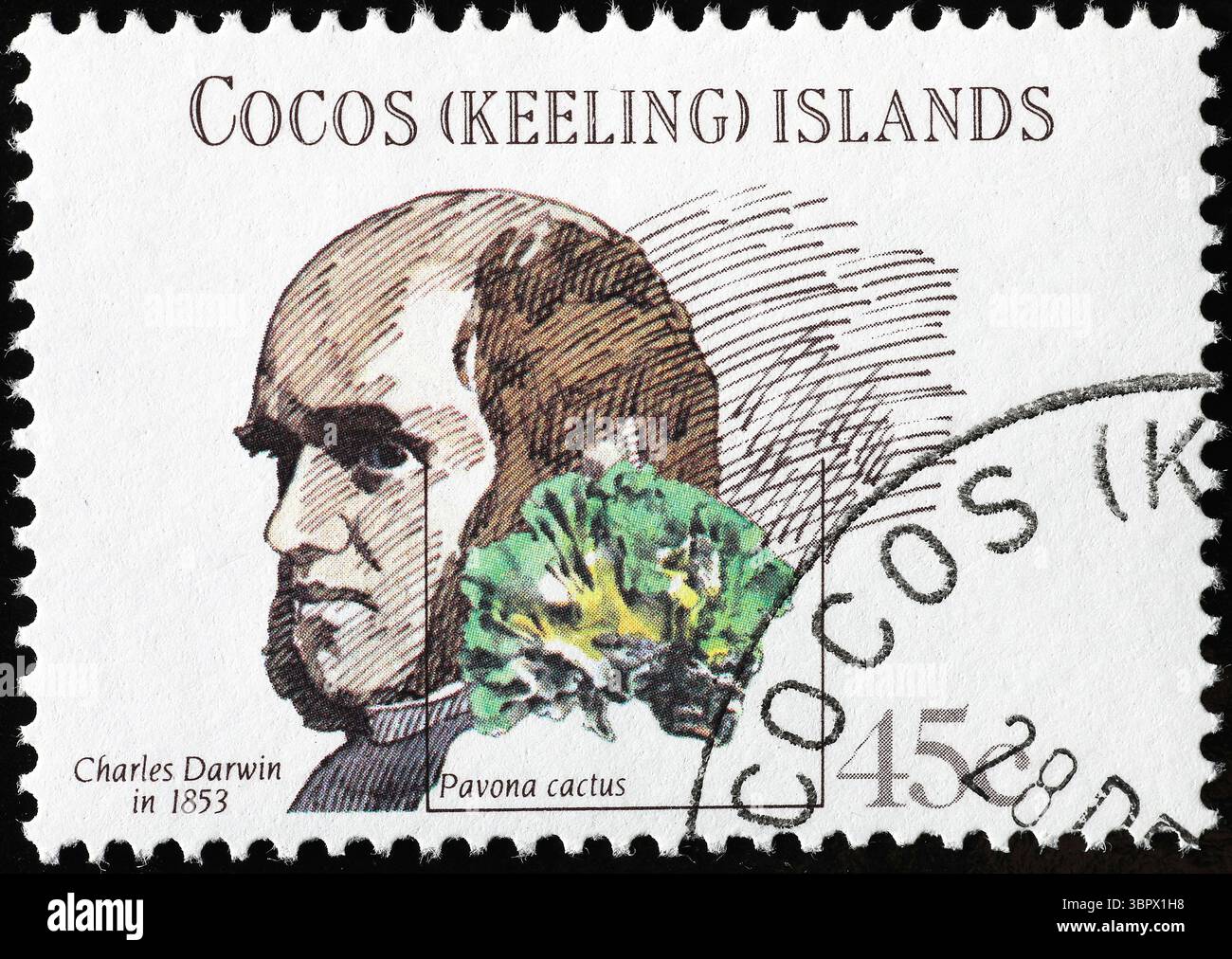 Portrait de Charles Darwin sur timbre des îles Cocos Banque D'Images