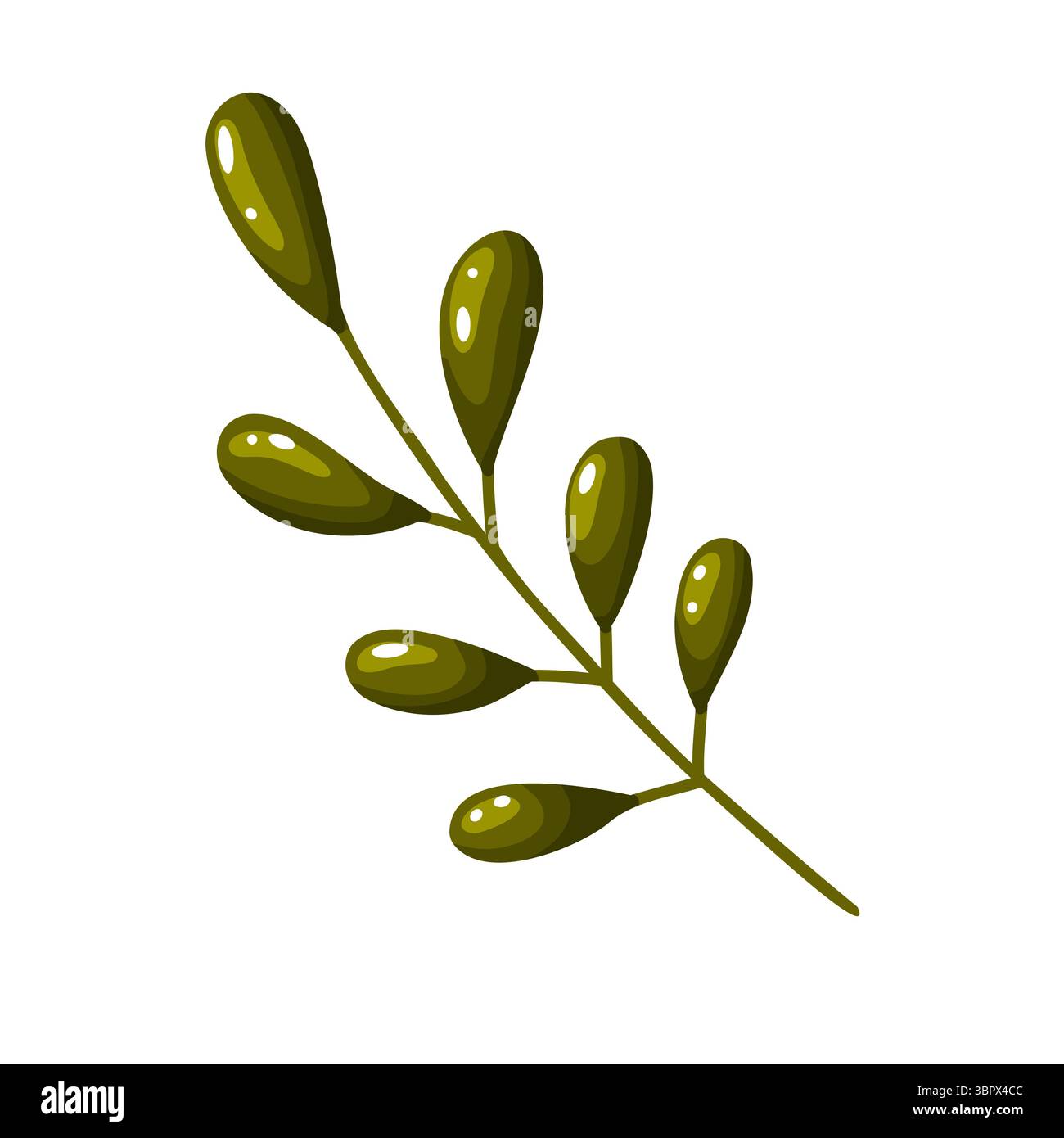 Une simple illustration de doodle dessinée à la main d'une branche verte avec plusieurs feuilles brillantes et arrondies. Cette œuvre d'art numérique polyvalente est idéale pour la botanique Illustration de Vecteur