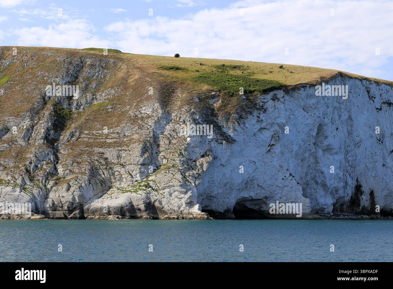 Ballard Down, Swanage Bay, île de Purbeck, Dorset, Angleterre, grande-Bretagne, Royaume-Uni, Royaume-Uni, Europe Banque D'Images