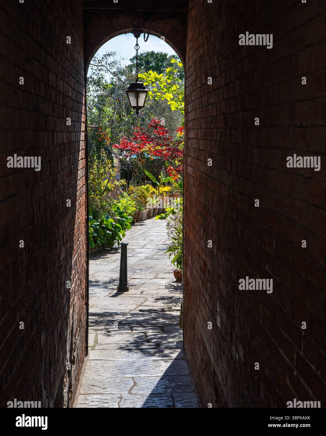 Vue sur une belle ruelle dans la ville de Glastonbury, Somerset, Royaume-Uni. Banque D'Images