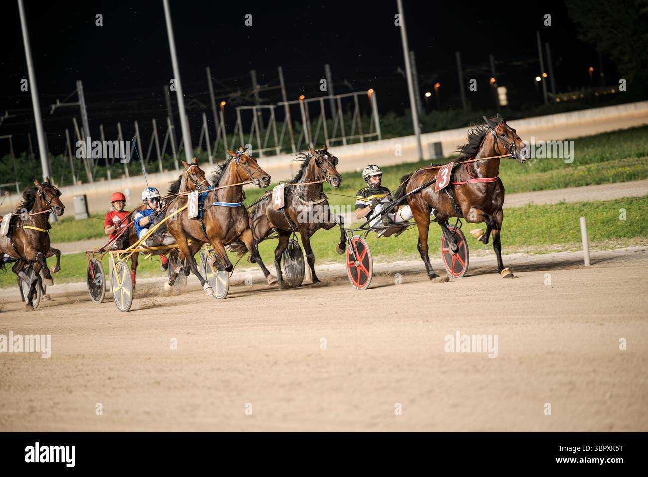 Padoue, italie 8 juillet 2025, chevaux et jockeys s'affrontent férocement dans une course palpitante sous harnais sur une piste bien éclairée, mettant en valeur la vitesse et l'habileté sous le ni Banque D'Images
