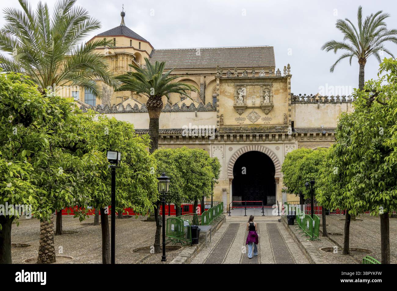 Cour de la cathédrale Mezquita-Catedral de Cordoue (mosquée-cathédrale de Cordoue) avec des cyprès et des orangers dans le centre historique, Cordoue Banque D'Images Cour de la cathédrale Mezquita-Catedral de Cordoue (mosquée-cathédrale de Cordoue) avec des cyprès et des orangers dans le centre historique, Cordoue Banque D'Images
