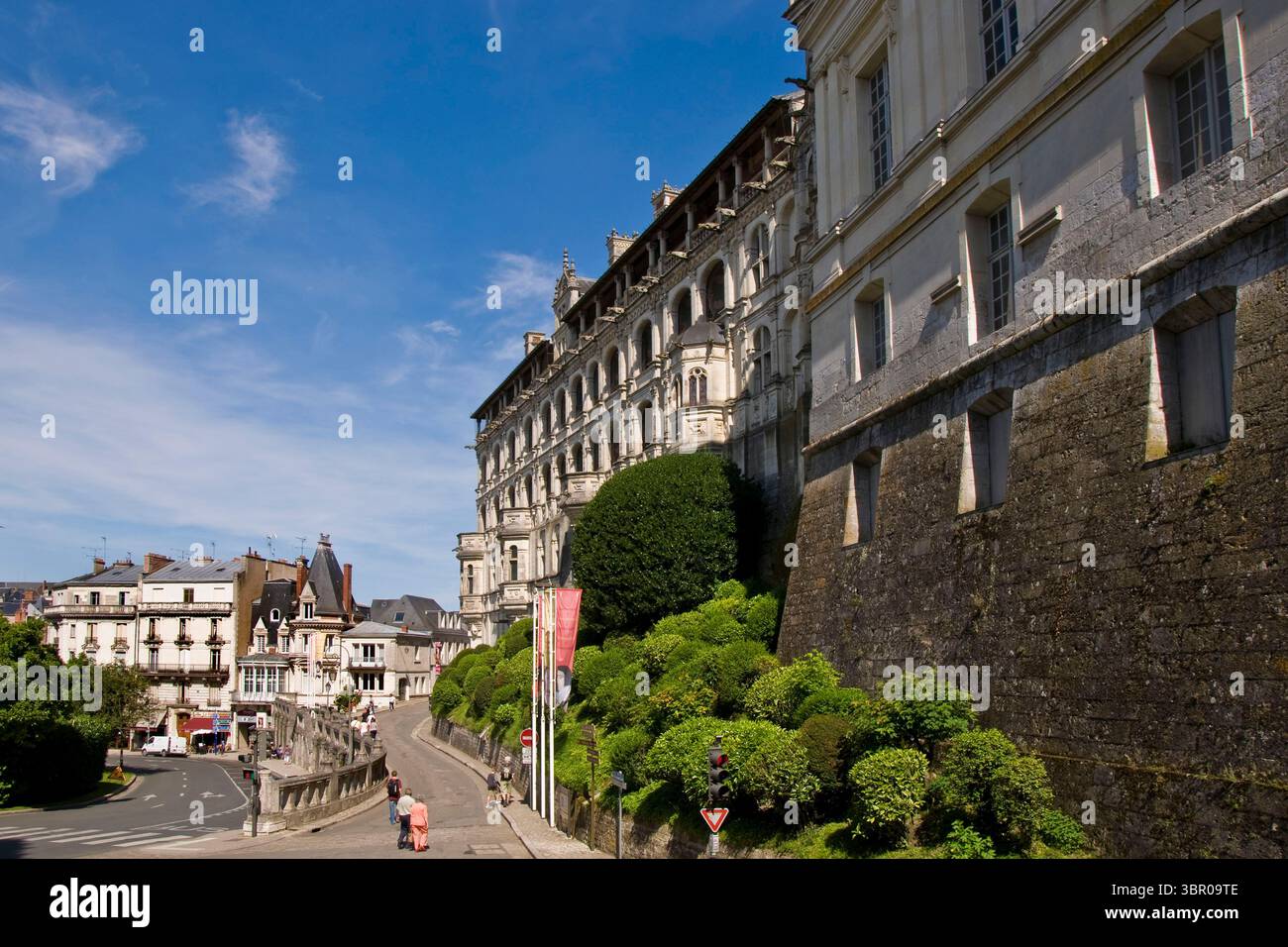 France. Vallée de la Loire. Blois. Château Banque D'Images