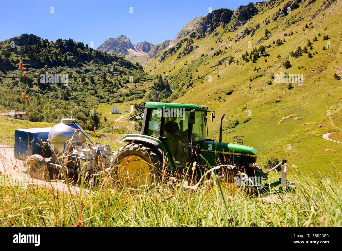 SAVOIE, FRANCE - 12 AOÛT 2016 : agriculteur allant traire une vache (boîtes vides dans la remorque) à des pâturages de haute montagne. L'agriculture traditionnelle dans les Alpes françaises Banque D'Images