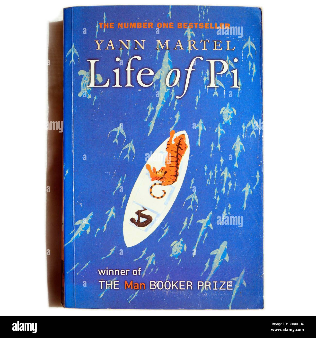 Photographie de Yann Martel - la vie de Pi. Configuration du studio. Couverture de livre utilisée sur fond blanc Banque D'Images