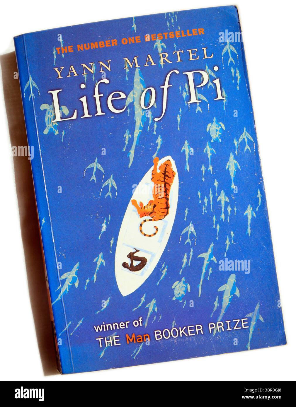 Photographie de Yann Martel - la vie de Pi. Configuration du studio. Couverture de livre utilisée sur fond blanc Banque D'Images