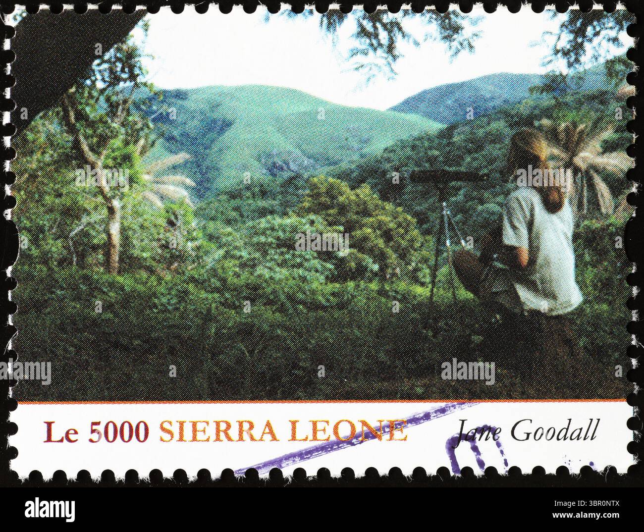 Jane Goodall observant des chimpanzés sur un timbre-poste Banque D'Images